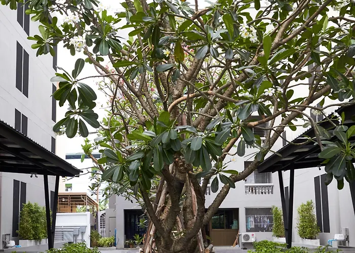 Almas Bangkok